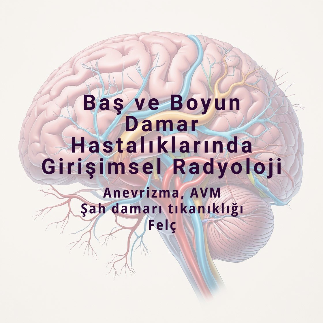 Baş Boyun Damar Tedavisi
